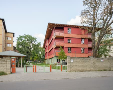House in a Park
